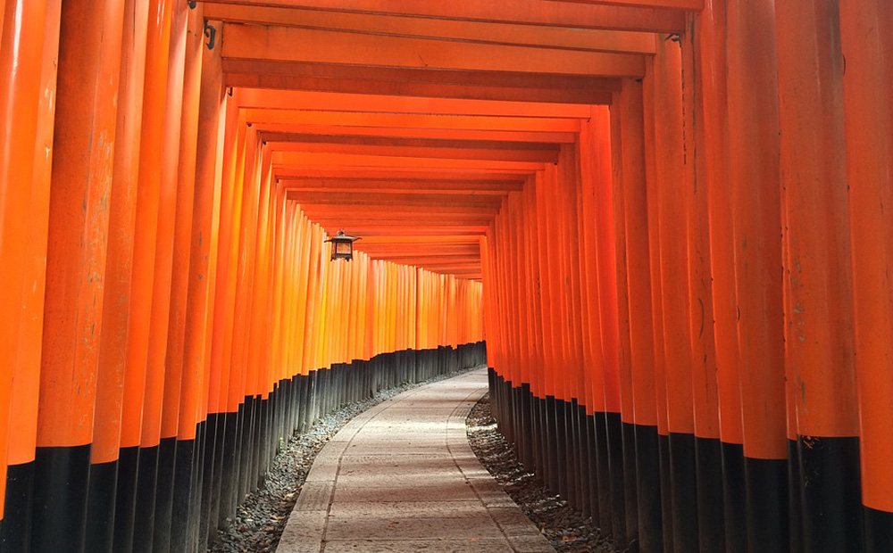 伏見稲荷大社 紅葉