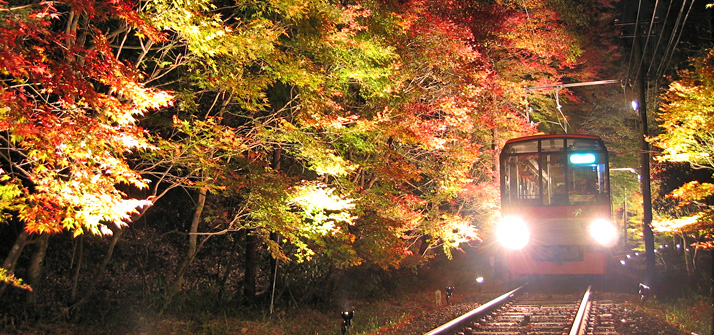 もみじのトンネル