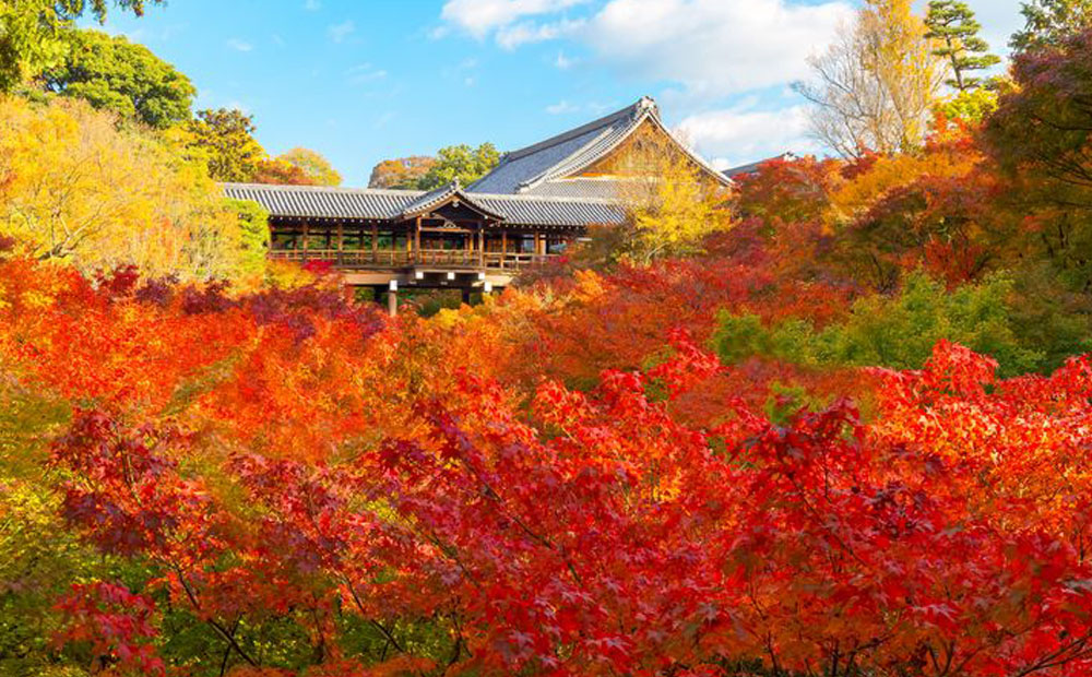 東福寺紅葉